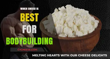 Cheese for Bodybuilding: What's the Best Option?