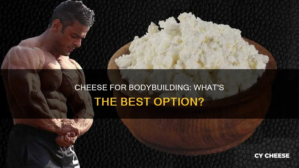 which cheese is best for bodybuilding
