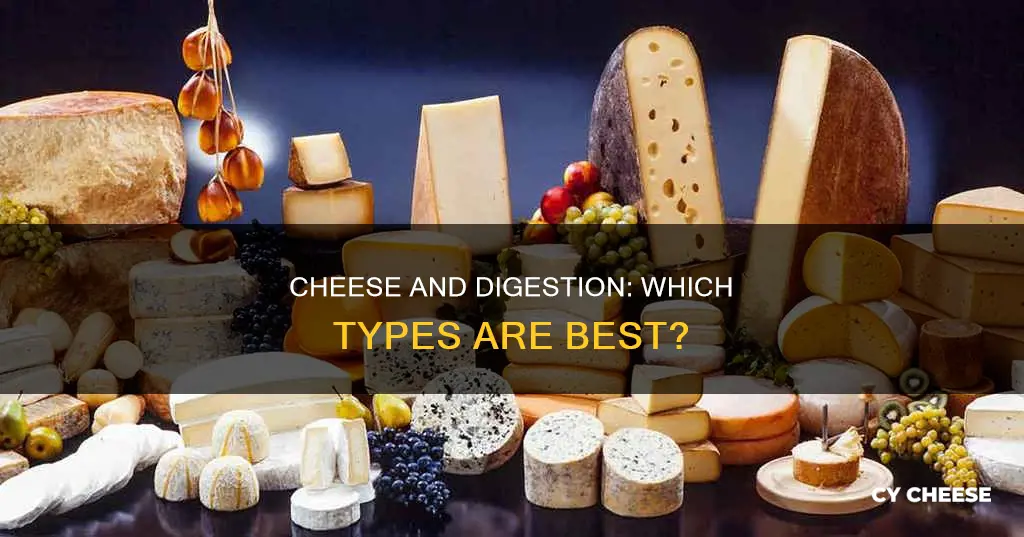 which cheese is best for digestion