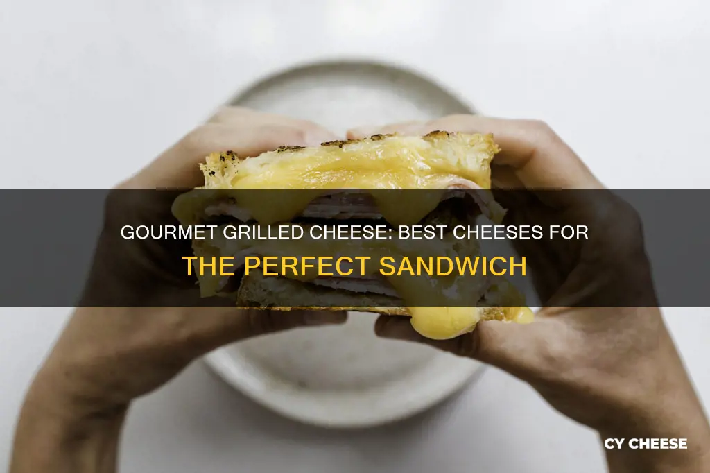 which cheese is best for gourmet grilled cheese sandwich