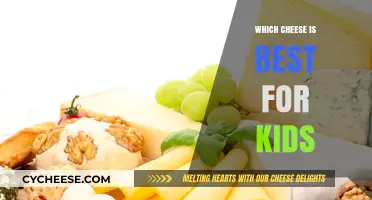 Cheese for Kids: What's the Best Option?