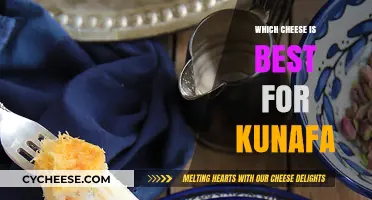 Kunafa Cheese: The Ultimate Guide to Choosing the Best