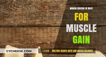 Cheese for Muscle Gain: The Best Dairy Proteins