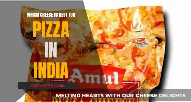 India's Best Pizza Cheese: A Tasty Adventure