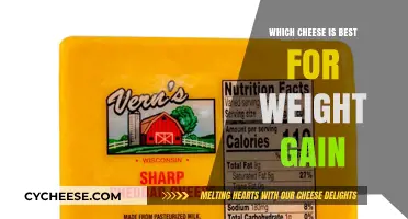 Cheese for Weight Gain: The Best Dairy Options