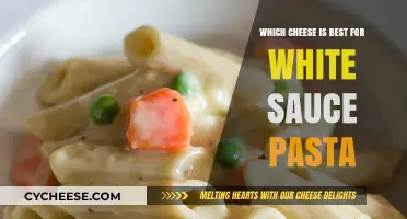 Cheese Options for the Perfect White Sauce Pasta