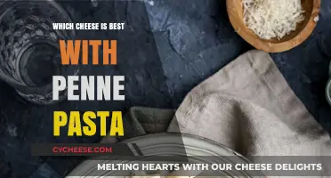 Penne Pasta: Which Cheeses Make the Perfect Pair?
