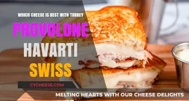 Best Cheeses to Pair with Turkey: Provolone, Havarti, Swiss?