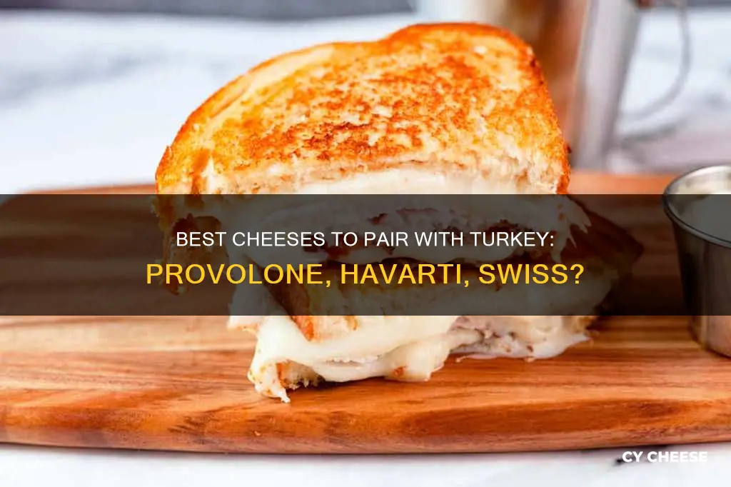 which cheese is best with turkey provolone havarti swiss