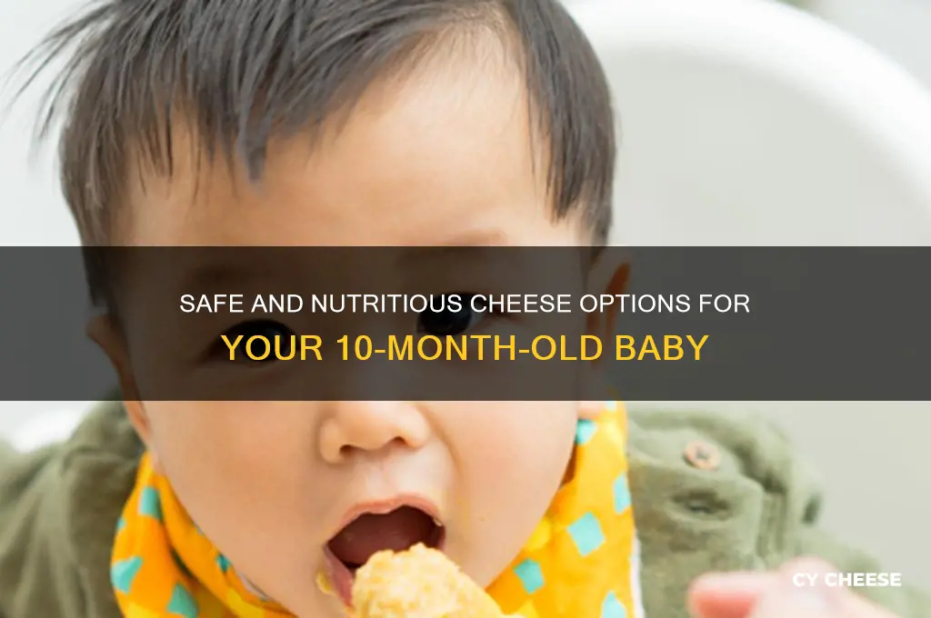 which cheese is good for 10 month old baby