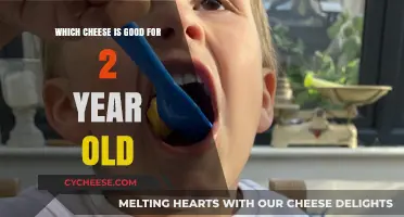 Best Cheese Options for Toddlers: Healthy Choices for Your 2-Year-Old