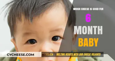 Safe and Nutritious Cheese Options for Your 6-Month-Old Baby