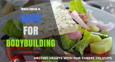 Best Cheeses for Bodybuilding: Fuel Your Gains with Smart Choices