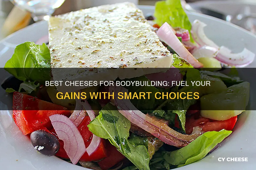 which cheese is good for bodybuilding