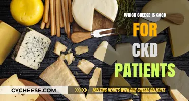 Kidney-Friendly Cheese Choices: Best Options for CKD Patients