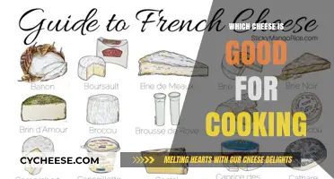 Best Cheeses for Cooking: Top Picks to Elevate Your Recipes