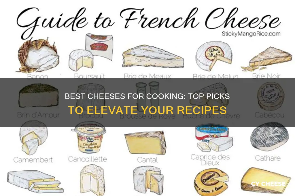 which cheese is good for cooking