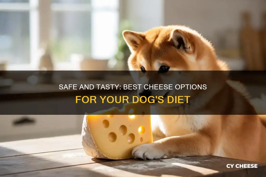 which cheese is good for dogs