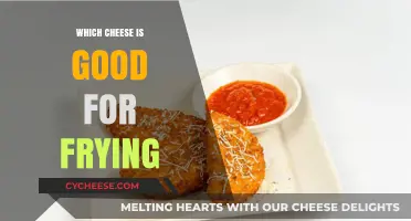 Best Cheeses for Frying: Top Picks for Crispy, Melty Perfection