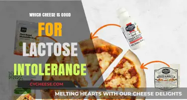 Lactose-Friendly Cheese Options: Enjoy Dairy Without the Discomfort