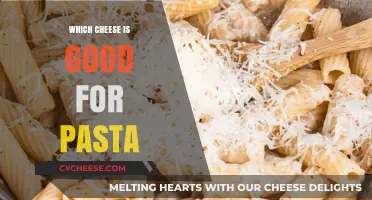 Perfect Pasta Pairings: Top Cheeses to Elevate Your Dish
