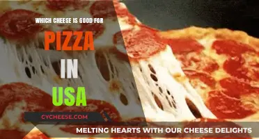 Best Cheeses for Pizza in the USA: Top Melty Picks