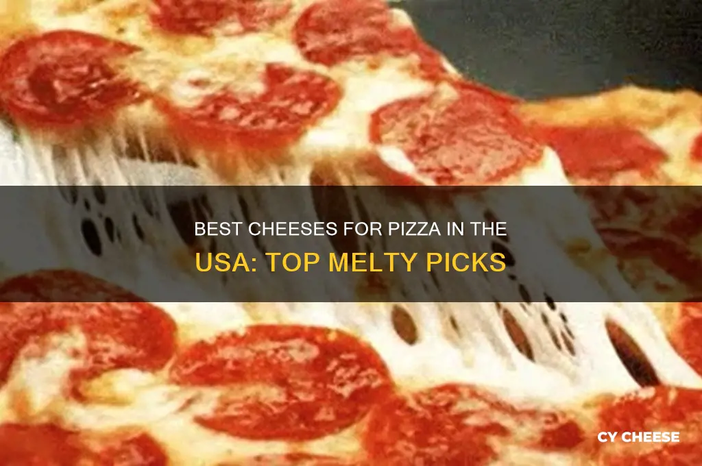 which cheese is good for pizza in usa