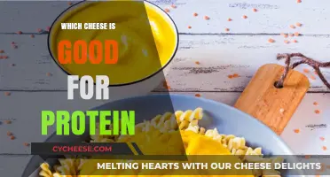 High-Protein Cheese Guide: Top Picks for Muscle-Building Snacks