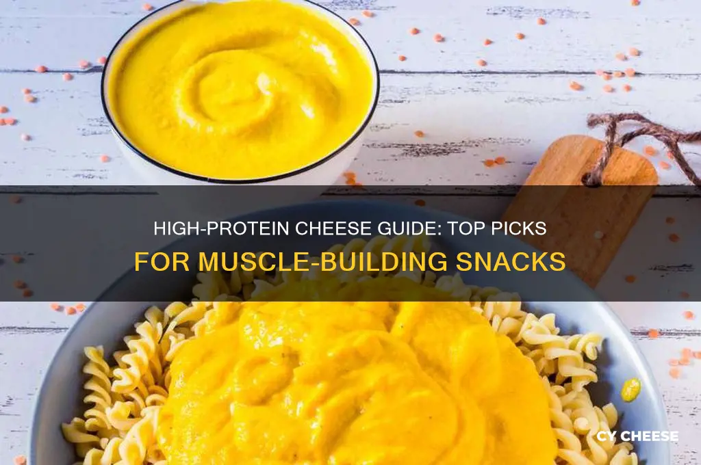 which cheese is good for protein