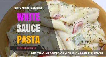 Perfect Cheese Pairings for Creamy White Sauce Pasta Recipes