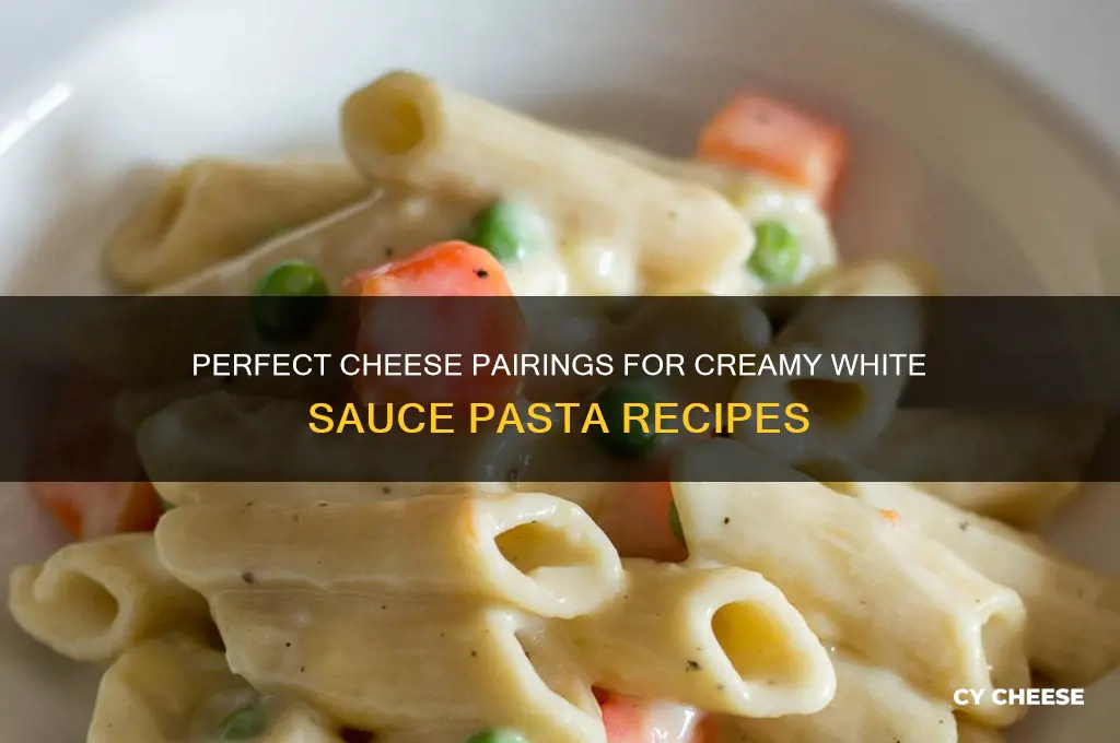 which cheese is good for white sauce pasta
