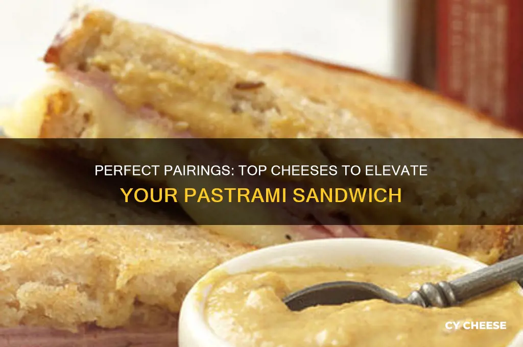 which cheese is good weith pastrami
