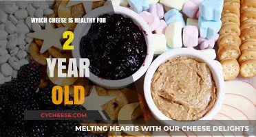 Healthy Cheeses for Toddlers: What's Best?