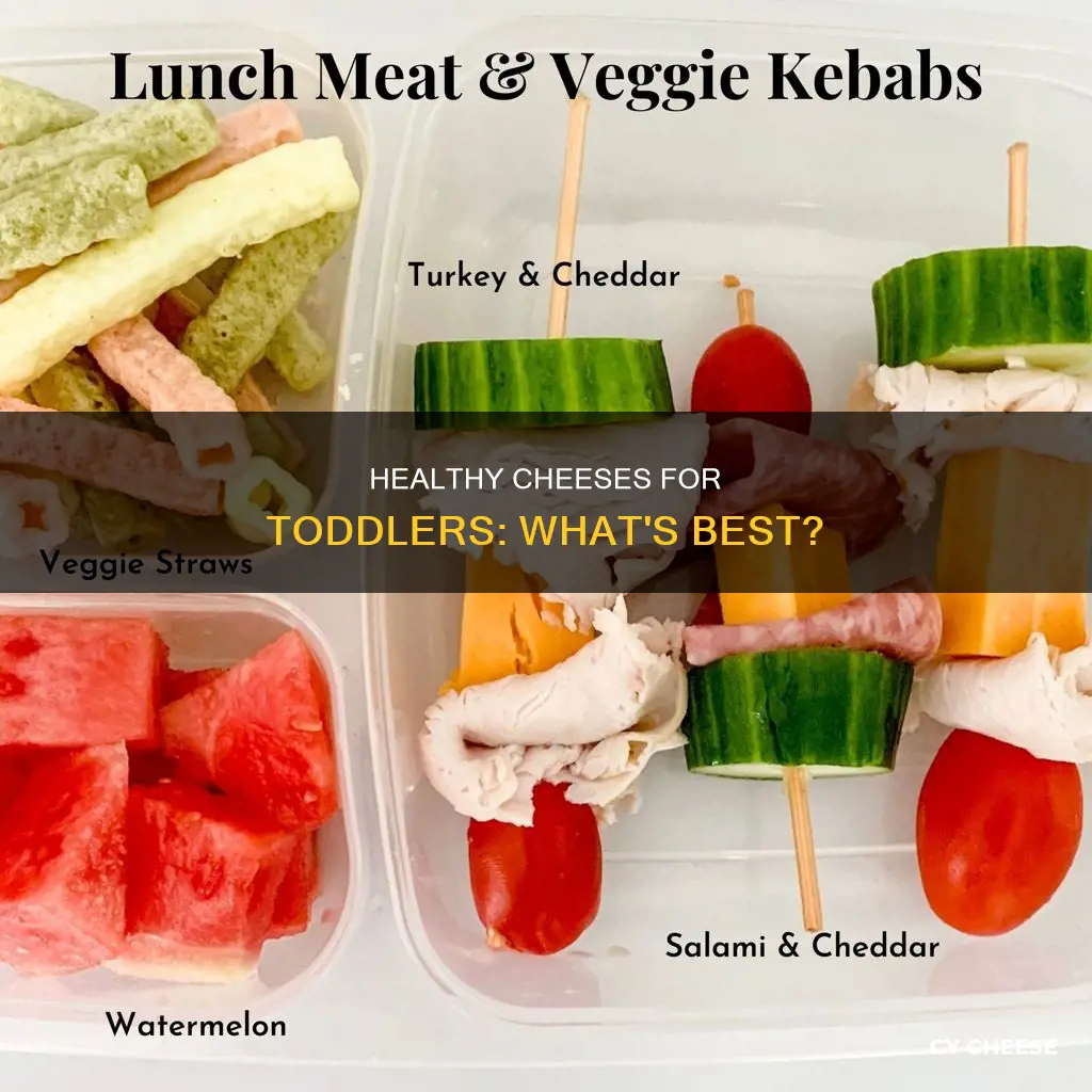 which cheese is healthy for 2 year old