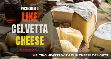 Discovering Cheeses Similar to Celvetta: A Flavour Guide