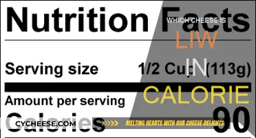 Smart Swaps: Low-Calorie Cheeses for Your Diet