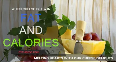 Best Low-Fat Cheeses for Your Diet