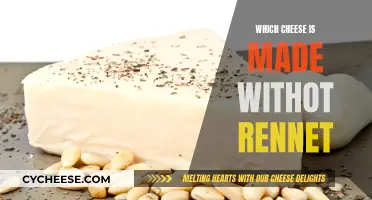Cheese Without Rennet: Exploring Rennet-Free Cheesemaking