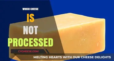Discovering Natural Cheeses: Unprocessed Varieties You Can Trust