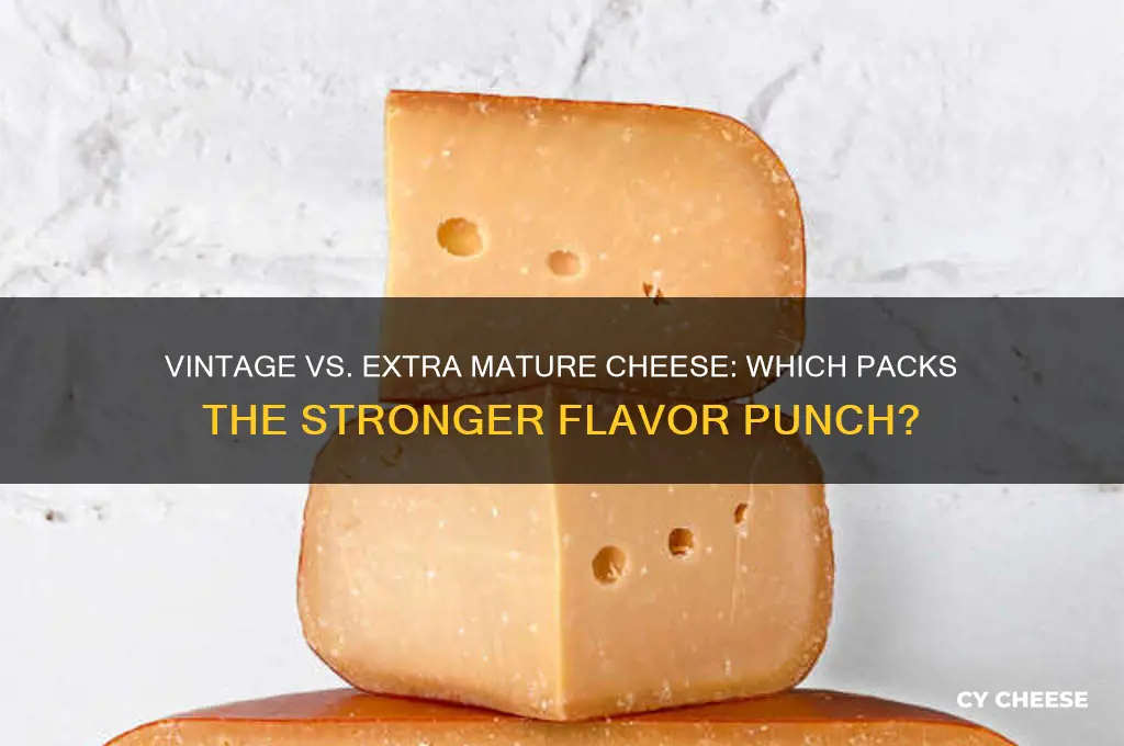 which cheese is stronger vintage or extra mature