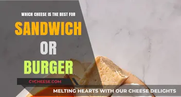 Cheese Perfection: The Ultimate Burger and Sandwich Fillings