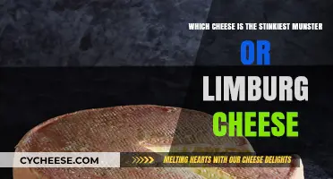 Munster vs. Limburg: Which Cheese Claims the Stinkiest Crown?
