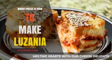 Cheese Choice for Luscious Lasagna