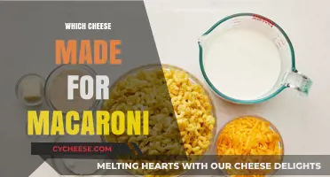 The Ultimate Guide to Choosing the Best Cheese for Macaroni