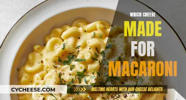 Macaroni's Best Match: The Perfect Cheeses Revealed