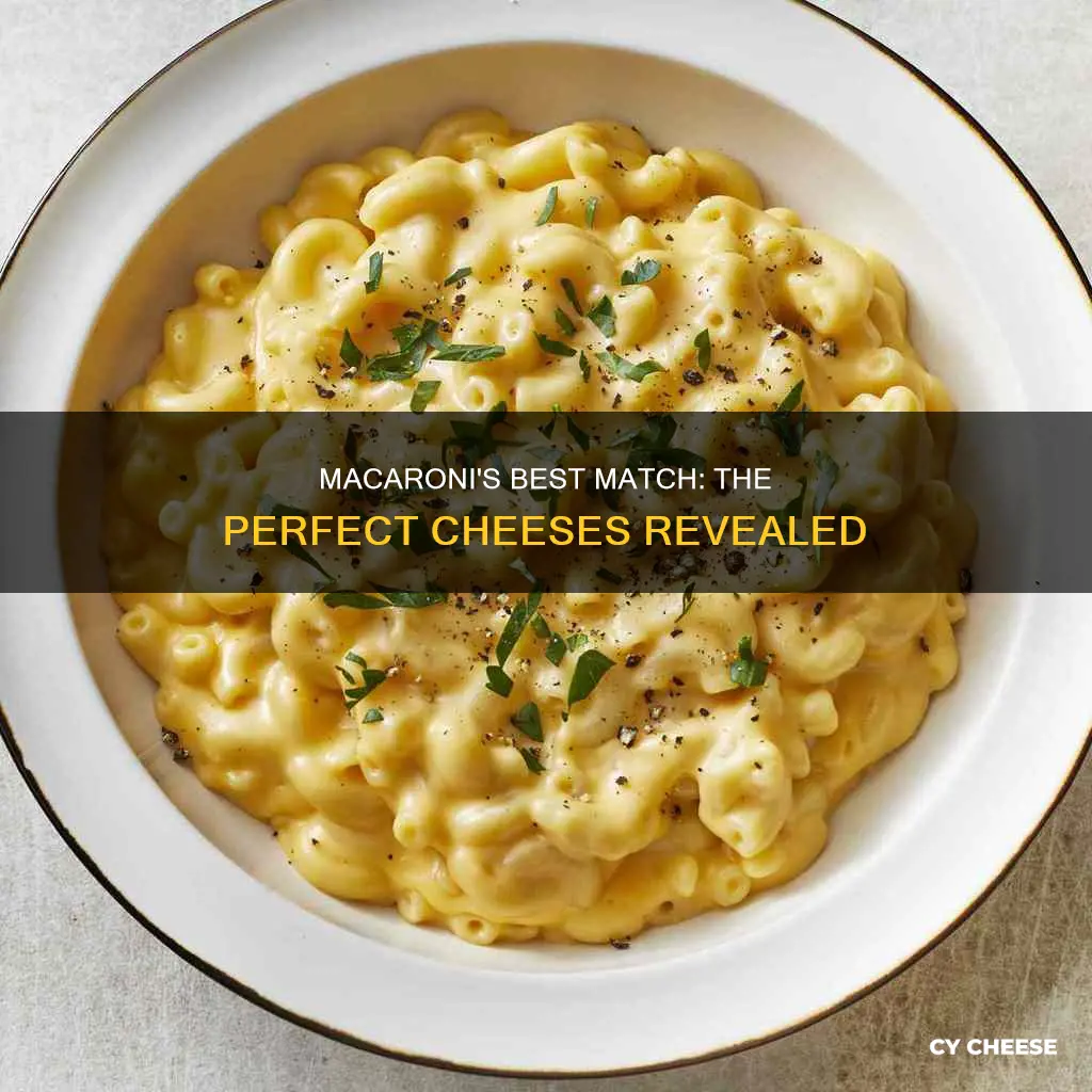 which cheese made for macaroni
