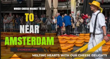 Discover Amsterdam's Nearby Cheese Markets: A Gouda Day Trip Guide