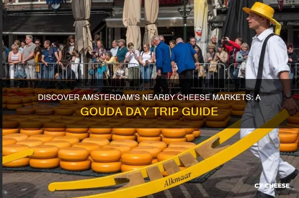 which cheese market to go to near amsterdam