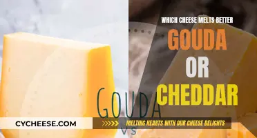 Gouda vs. Cheddar: The Ultimate Melty Battle