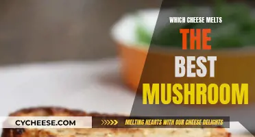 Mushrooms and Melty Cheese: The Ultimate Pairing